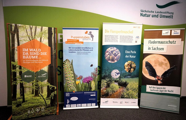 Beispiele von Ausstellungen der Sächsischen Landesstiftung Natur und Umwelt