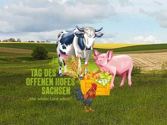 Foto einer Acker-Landschaft, darauf eine Illustration mit Kuh, Schwein, Hahn und einer Kiste mit Lebensmitteln. Schriftzug: Tag des offenen Hofes Sachsen – mal wieder Land sehen!