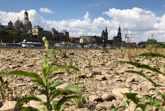 Trockenes Flussbett der Elbe, im Hintergrund Dampfer und das Terrassenufer in Dresden