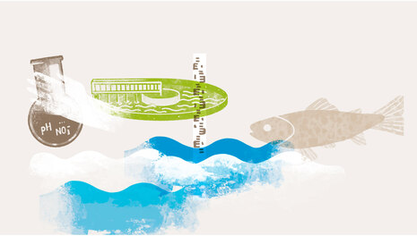 Themenbereich Wasser: Illustration mit Wasserwellen, Fisch, Hochwasserpegel, Klärgrube und Wasserprobe